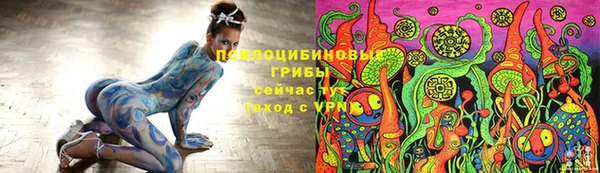 тгк Магадан