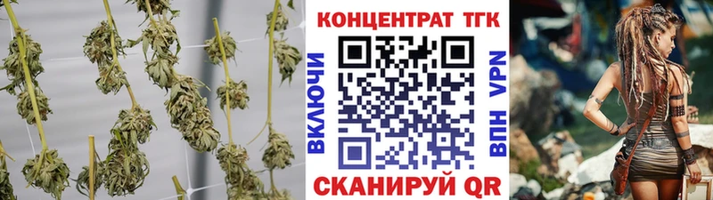 Дистиллят ТГК гашишное масло  Ершов 